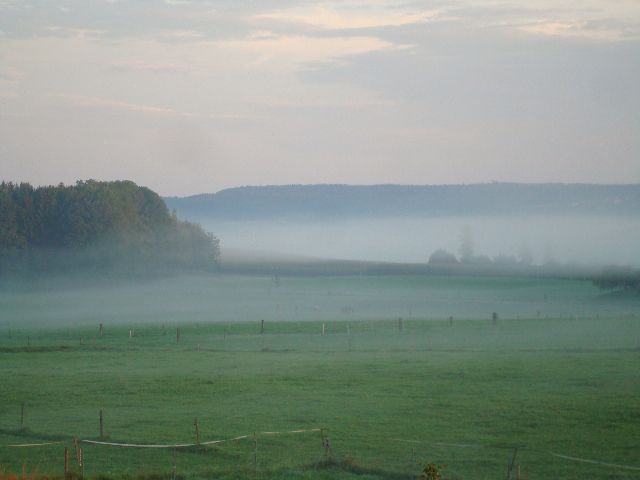 Seebachtal bei Nebel
